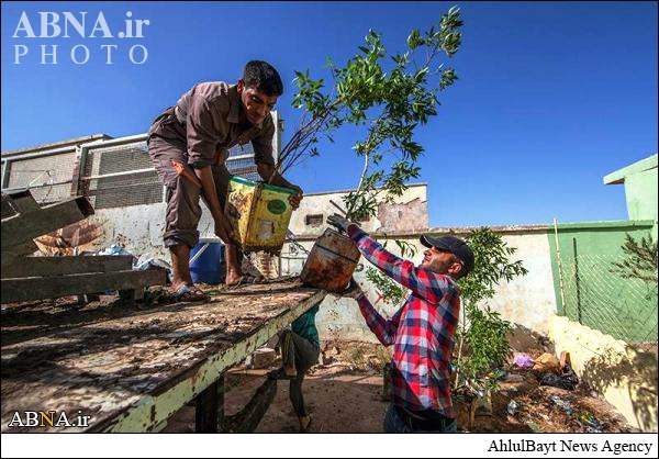 زیباسازی شهر آمرلی به همت آستان حرم حضرت عباس(ع)/ تصاویر
