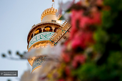 حال و هوای بارگاه حضرت علی (ع) در روز عید غدیر/ گزارش تصویری