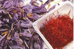 هشدار به حجاج و زائران عتبات در مورد خرید زعفران