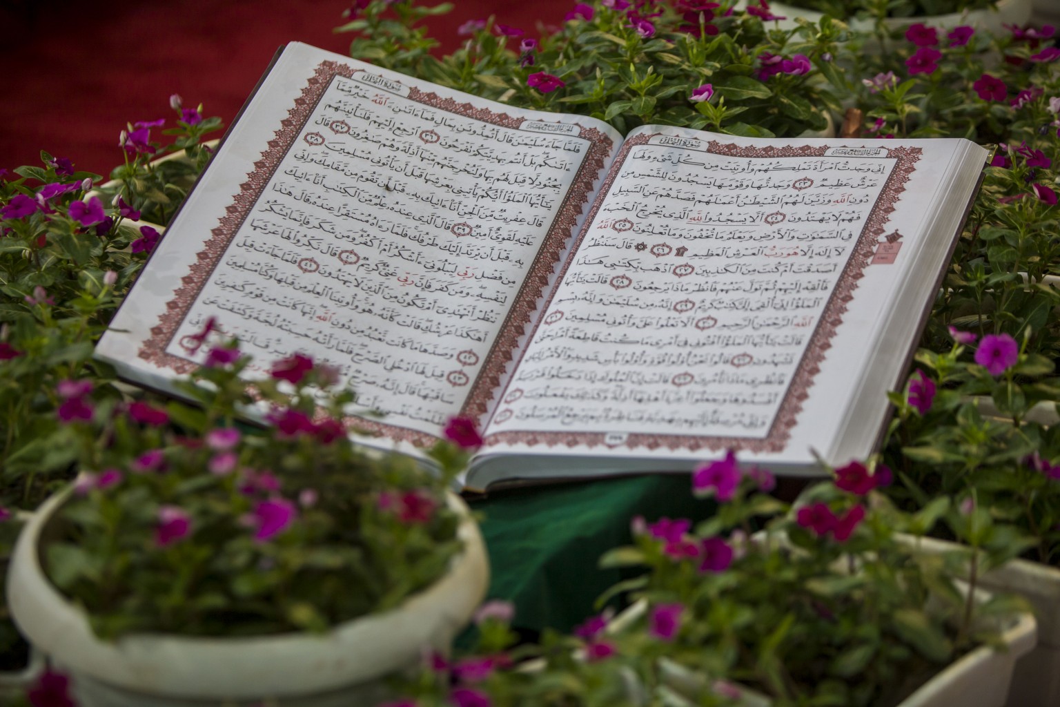 قرآن در حرم قرآن ناطق